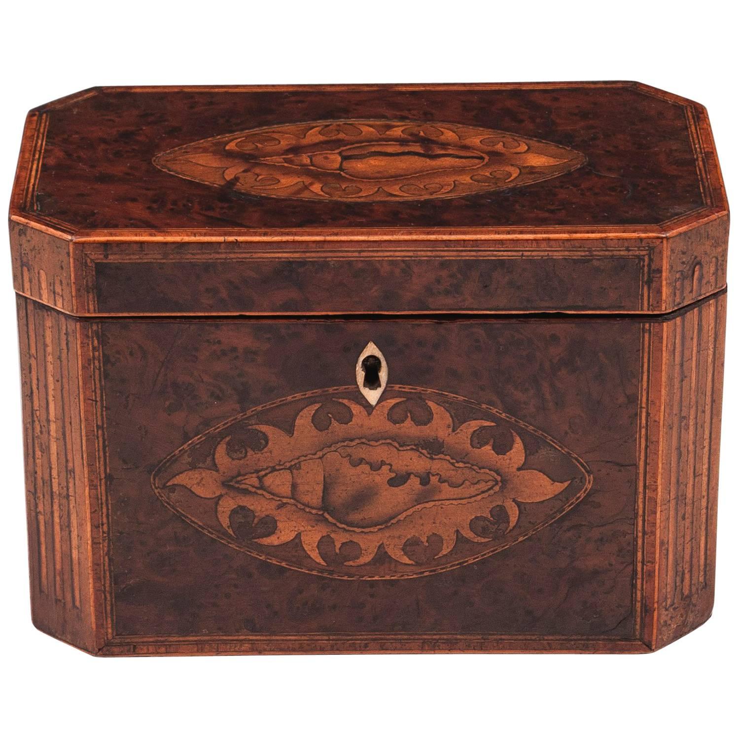 Antique Georgian Burr Yew Tea Caddy