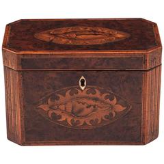 Antique Georgian Burr Yew Tea Caddy