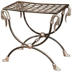 Antique Early 20th Century, French Polished Iron Stool with Swan Faces