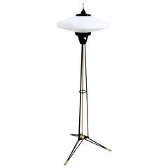 Elegant Floor Lamp with Opaline Glass Shade by Stilnovo, Italy, 1950s 7
