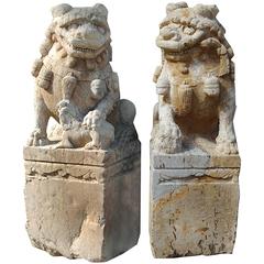 Pair of 19th Century Chinese Limestone Shizi 10