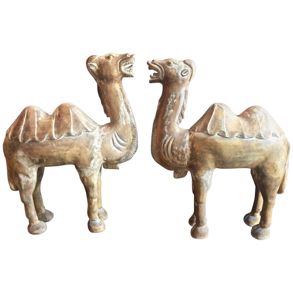 Paire de grands camels chinois de style Tang sculptés de Bactrian