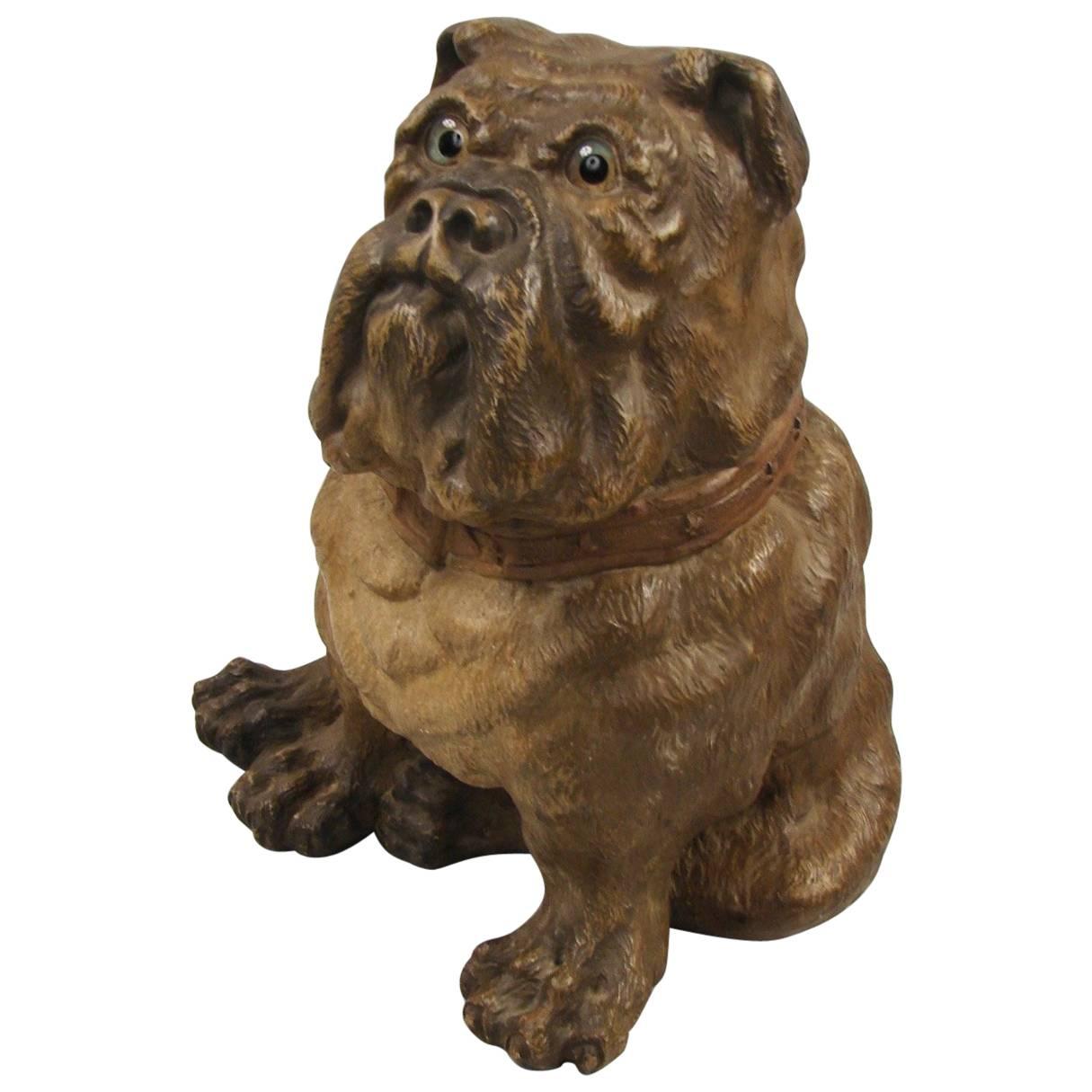 Robust Spectacular and Amusing Late 19th Century Terra Cotta Bulldog