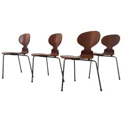Early Model 3100 'Ant' Chairs by Arne Jacobsen for Fritz Hansen, Designed 1952