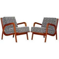 Czech Mid-Century Armchairs, 1950s, Set of Two 9