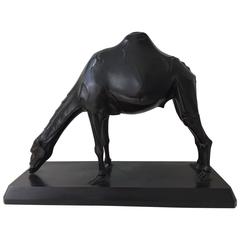 Dromedary, J.C. Altorf, 1913 10