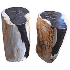 Petrified Wood Side Table 7