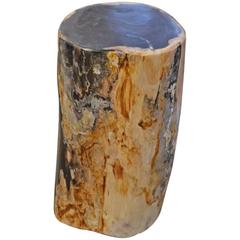 Andrianna Shamaris Petrified Wood Side Table