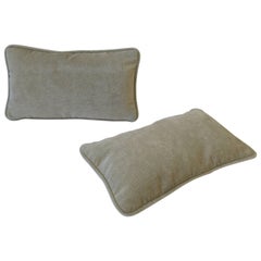 Pair of Small Throw or Accent Pillows in Champagne