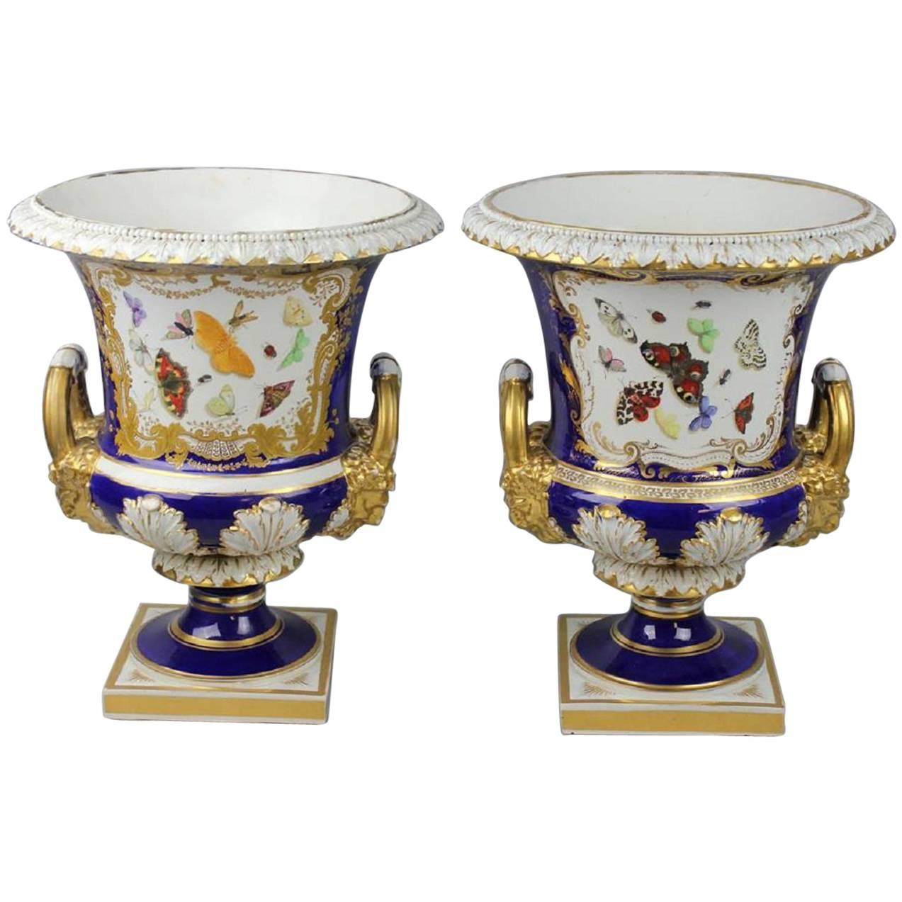 Pair of Large Bloor Derby Campagna-Form Urns with Butterfly Panels