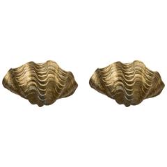 Pair of Shell Wall Sconces, Italy, circa 1960 3