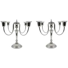 Pair of Candelabras