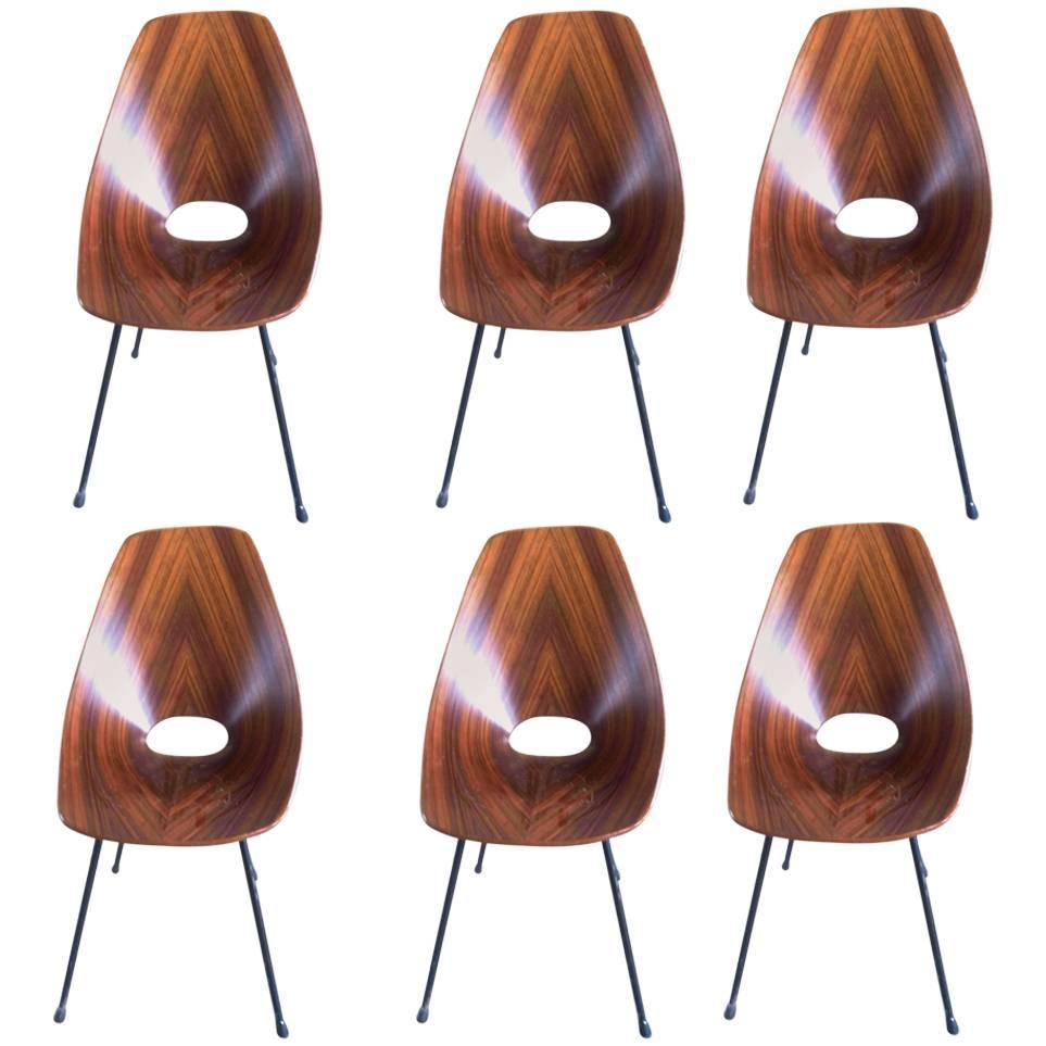 Fantastic Set of Six Vittorio Nobili Rosewood Medea Chair