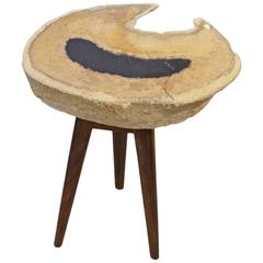 Andrianna Shamaris Palm Petrified Wood Side Table