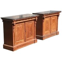 Very Rare Pair of 19th Century Bookcases 2