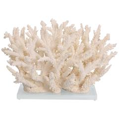 Chic Branch Coral Sculpture on Lucite