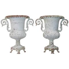 Pair of 19th Century English Jardinières