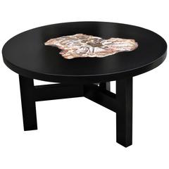 Vintage Petrified Wood Coffee Table Design