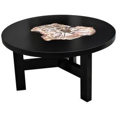 Petrified Wood Coffee Table Design 4