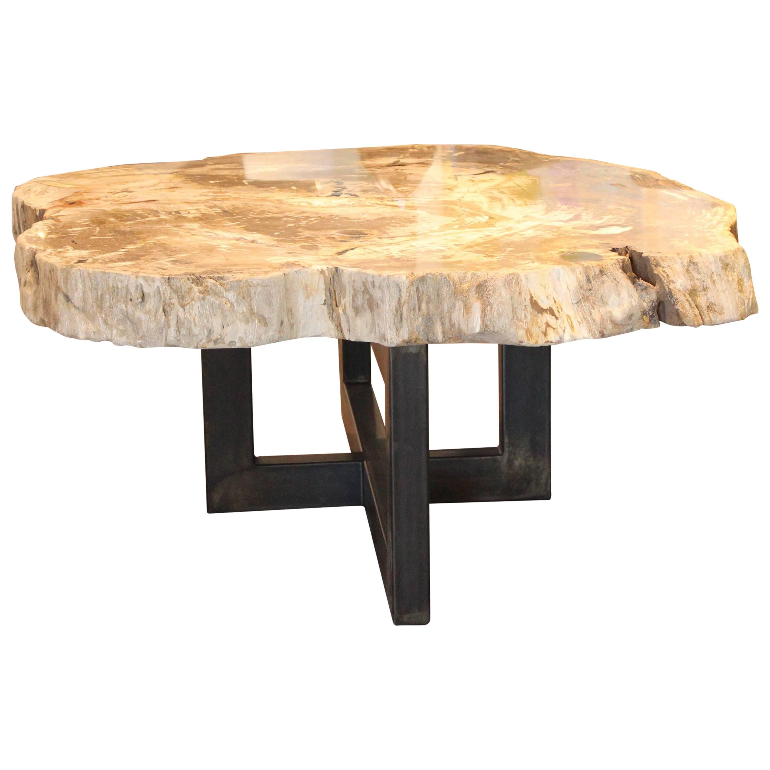 Petrified Wood Slab Coffee Table with Steel Base