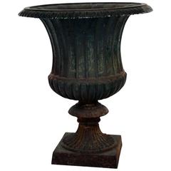 Cast Iron Campana Garden Urn, Late 19th Century