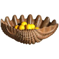 Unusual Carved Scallop Shell