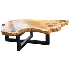 Petrified Wood Slab Coffee Table with Steel Base