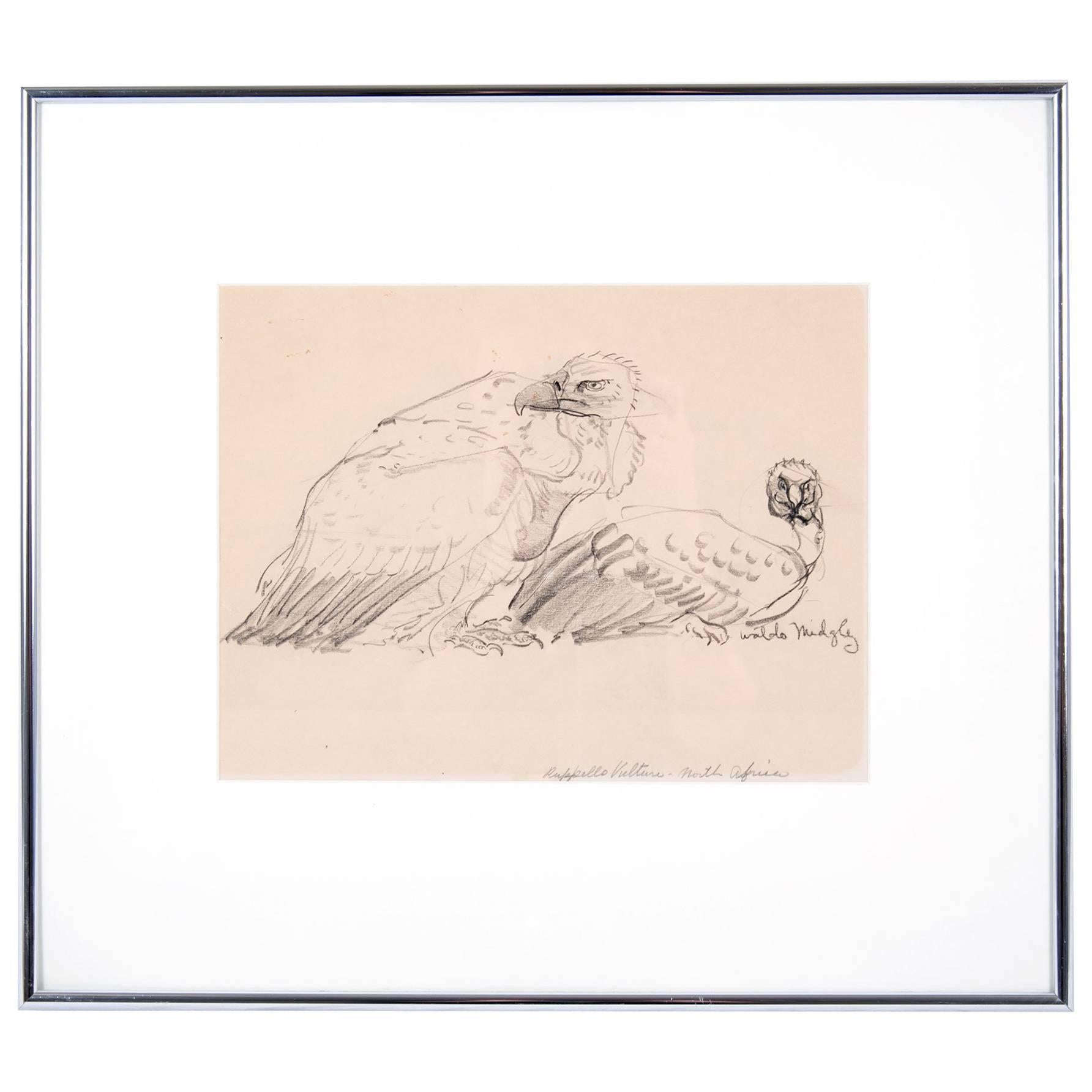 Two Vultures by Waldo Midgley, 1993 For Sale