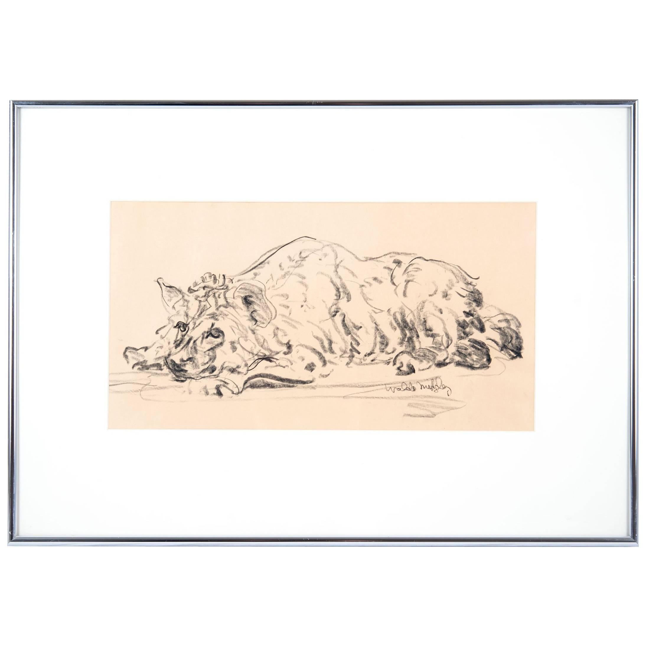 Hyena 1993 by Waldo Midgley For Sale