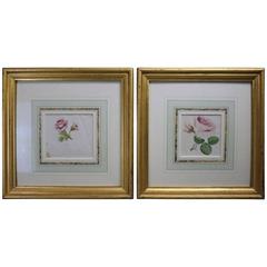 Pair of Antique Floral Watercolor Botany Studies, Pink Roses, One with Poem