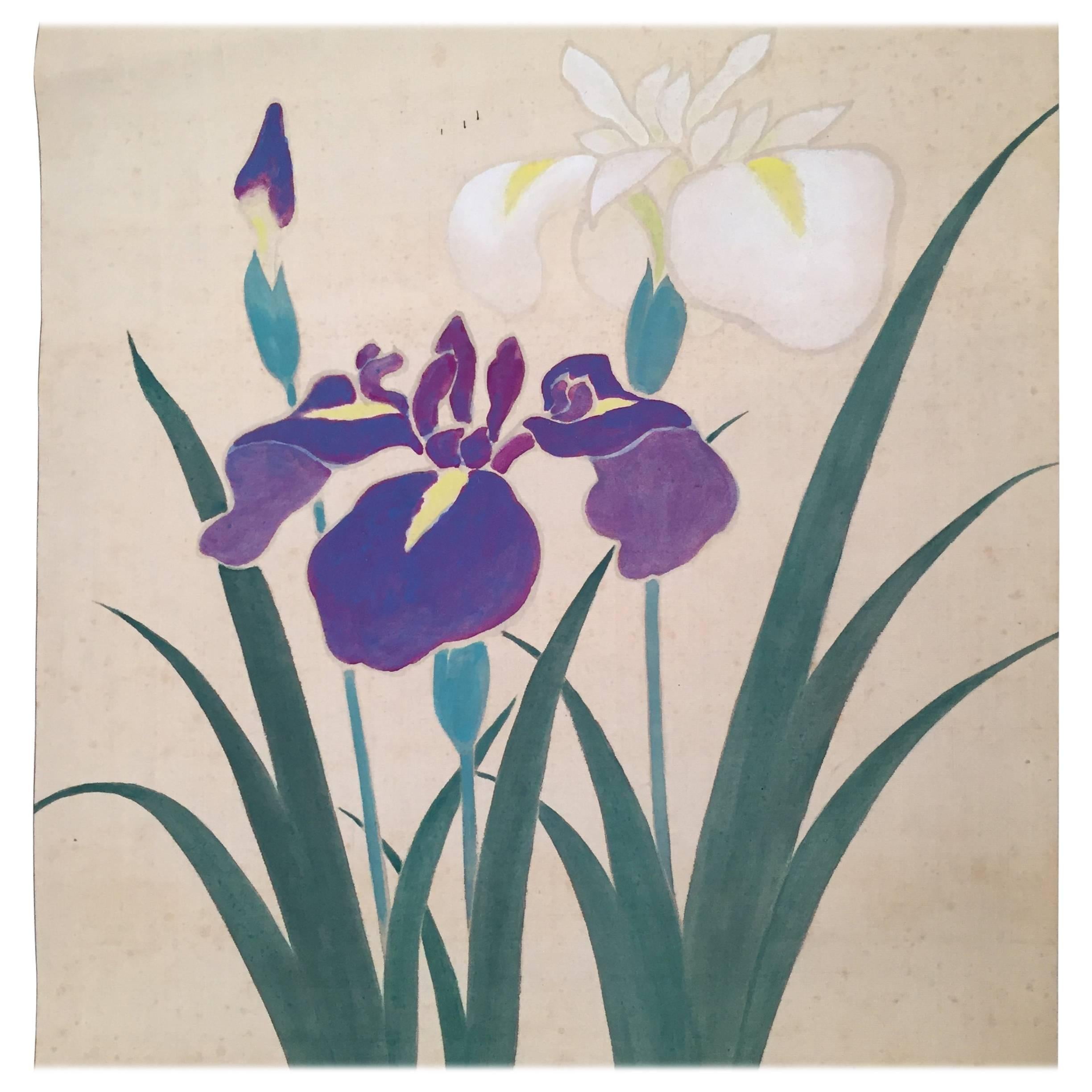 Blooming IRIS Japan Antique Hand-Painted Silk Scroll 100 Years Old