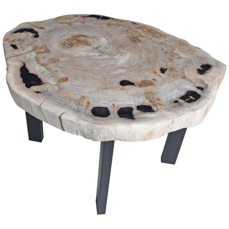 Andrianna Shamaris Petrified Wood Slab Table at 1stdibs