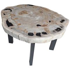 Andrianna Shamaris Petrified Wood Slab Table