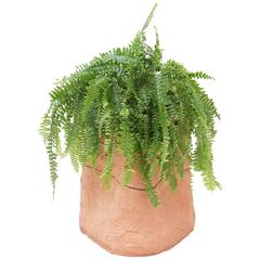 Chris Wolston Terracotta Planter Stand 10