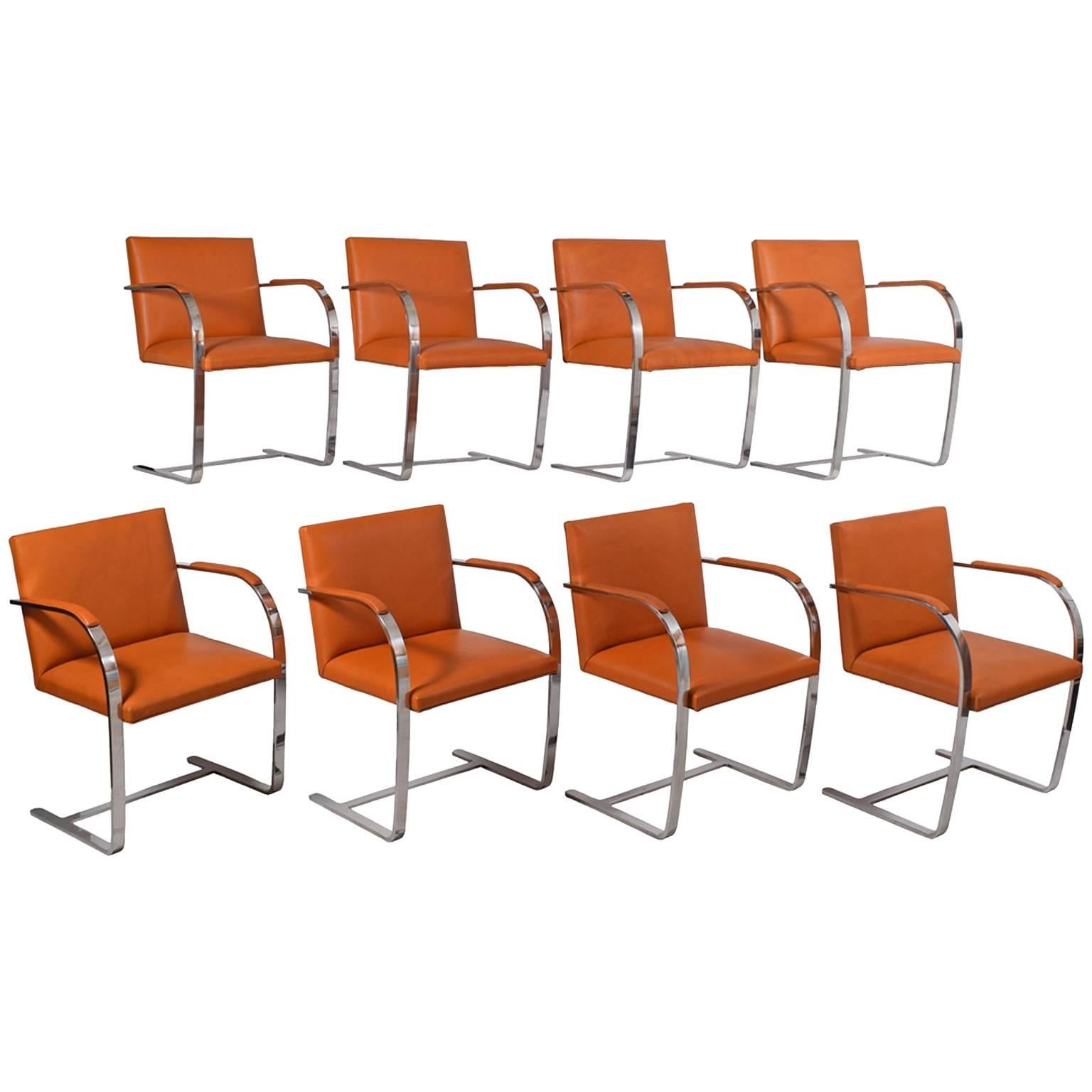 Set of Eight Flat Bar Brno Chairs by Mies Van Der Rohe for Knoll