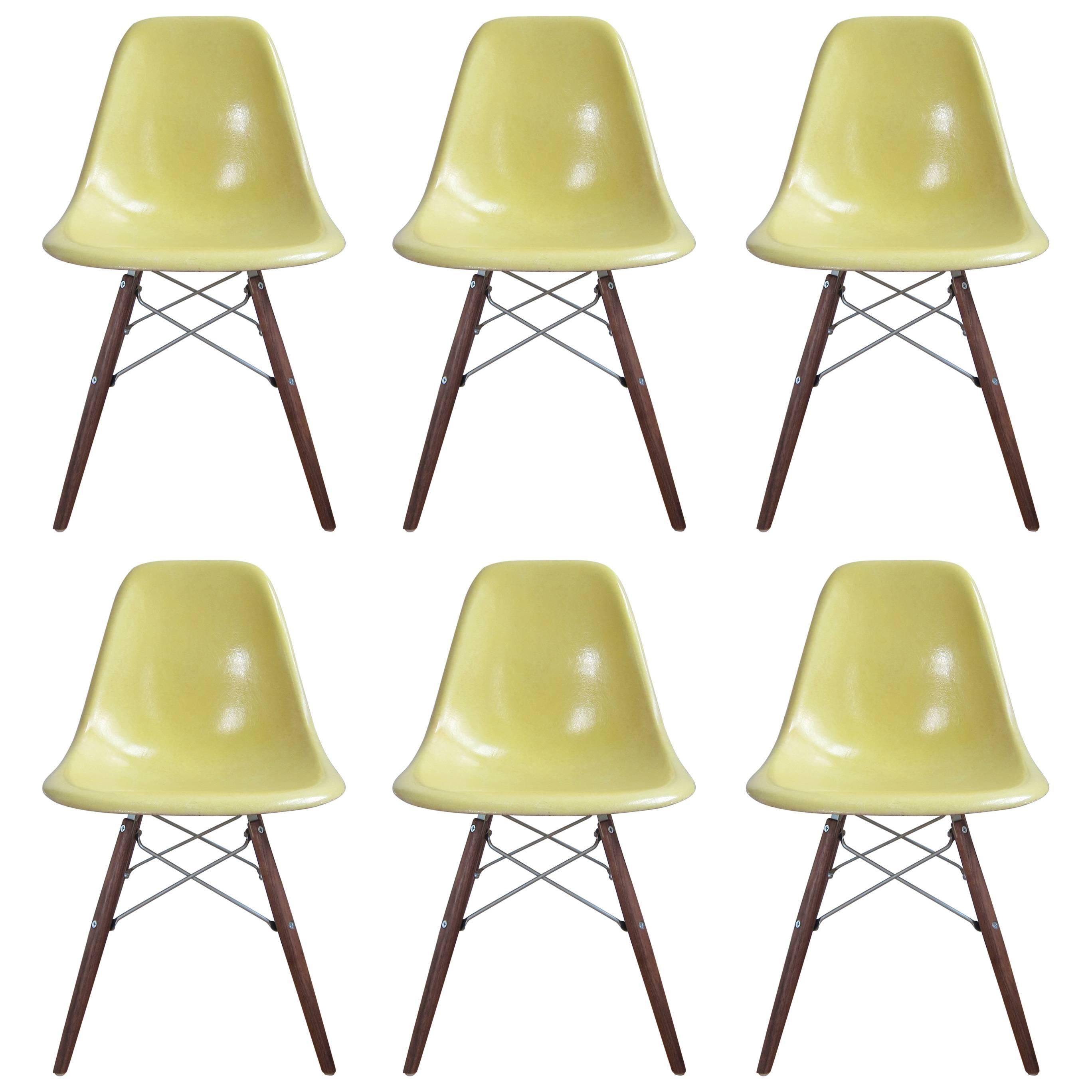 Six Lemon Yellow Herman Miller Eames DSW Dining Chairs