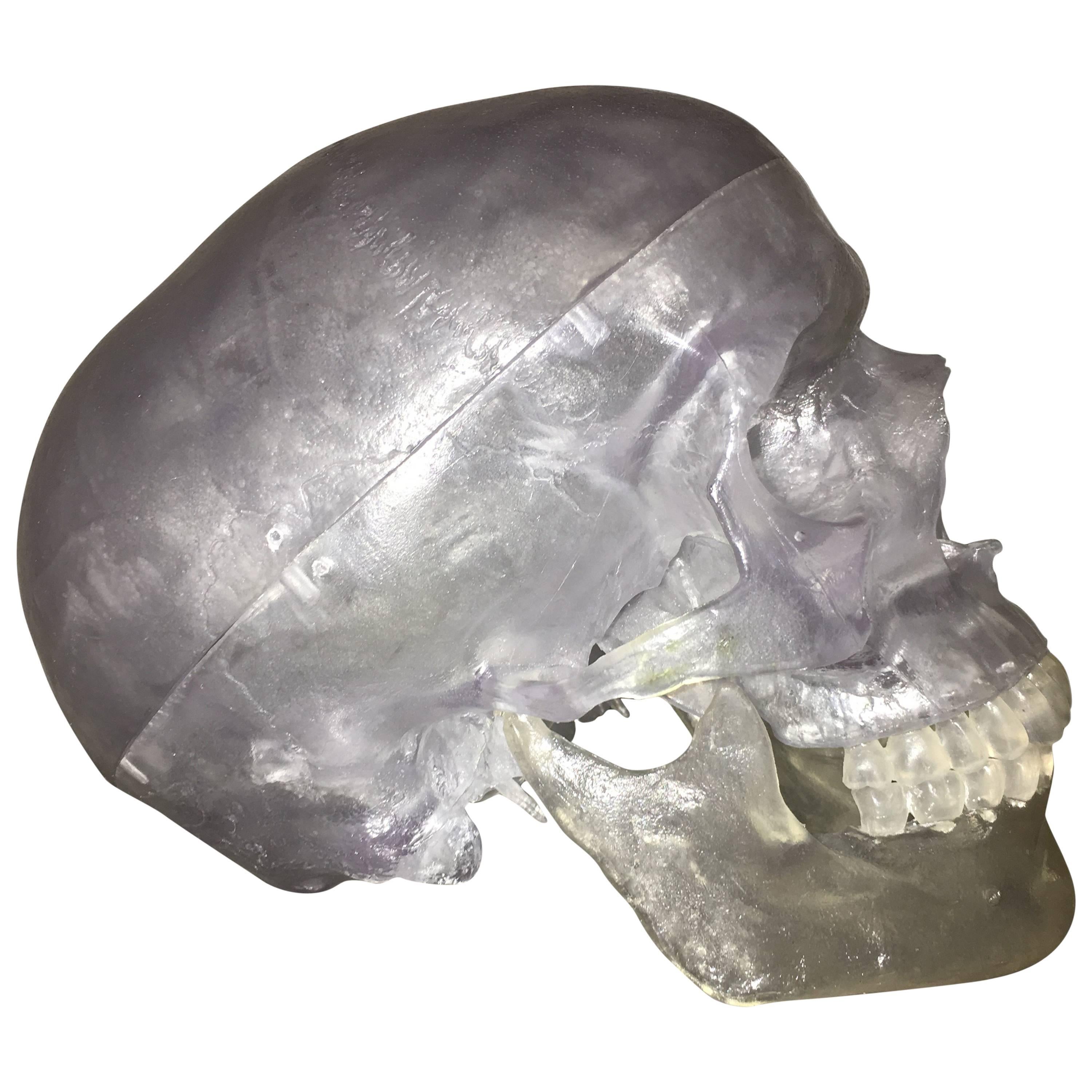 Acrylic Skull Mid-Century Lucite Sculpture For Sale