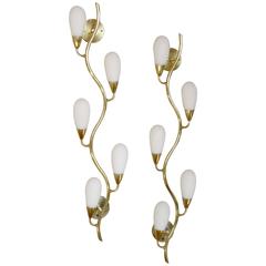 Pair of Brass and Glass Flora Form Wall Lamps