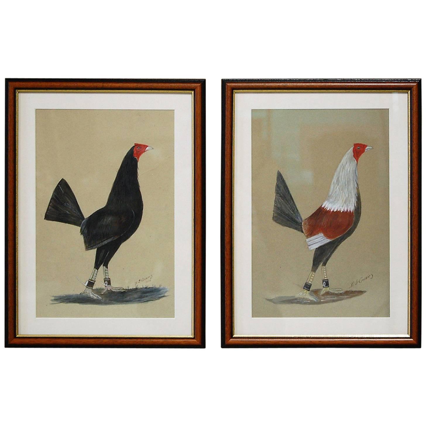 Pair of Early 20th Century English Fighting Cockerel Paintings