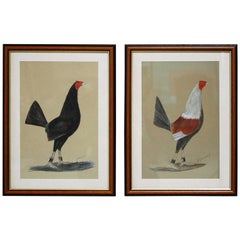 Pair of Early 20th Century English Fighting Cockerel Paintings