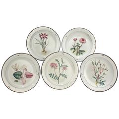 Set of 12 Davenport Pearlware Pottery Botanical Dessert Plates 11