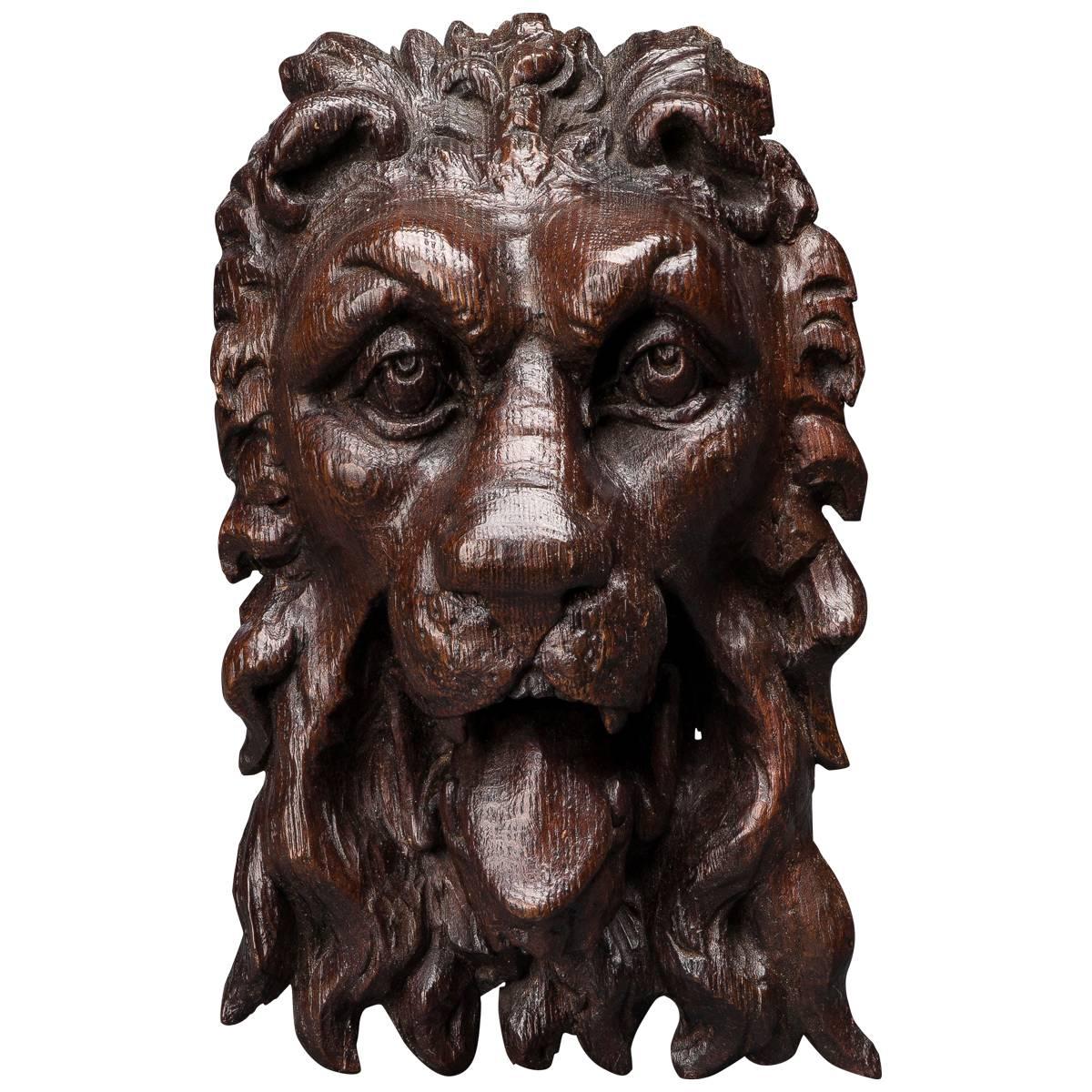 Superb Elizabeth I Carved Oak Lion Mask Mount For Sale