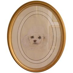 American Watercolor Portrait of Winston the Poodle, 20th Century