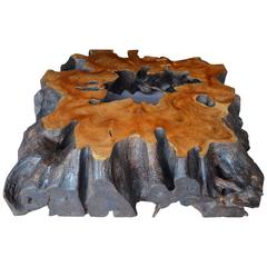 Andrianna Shamaris Single Root Teak Wood Coffee Table Andrianna Shamaris Single Root Teak Wood Coffee Table