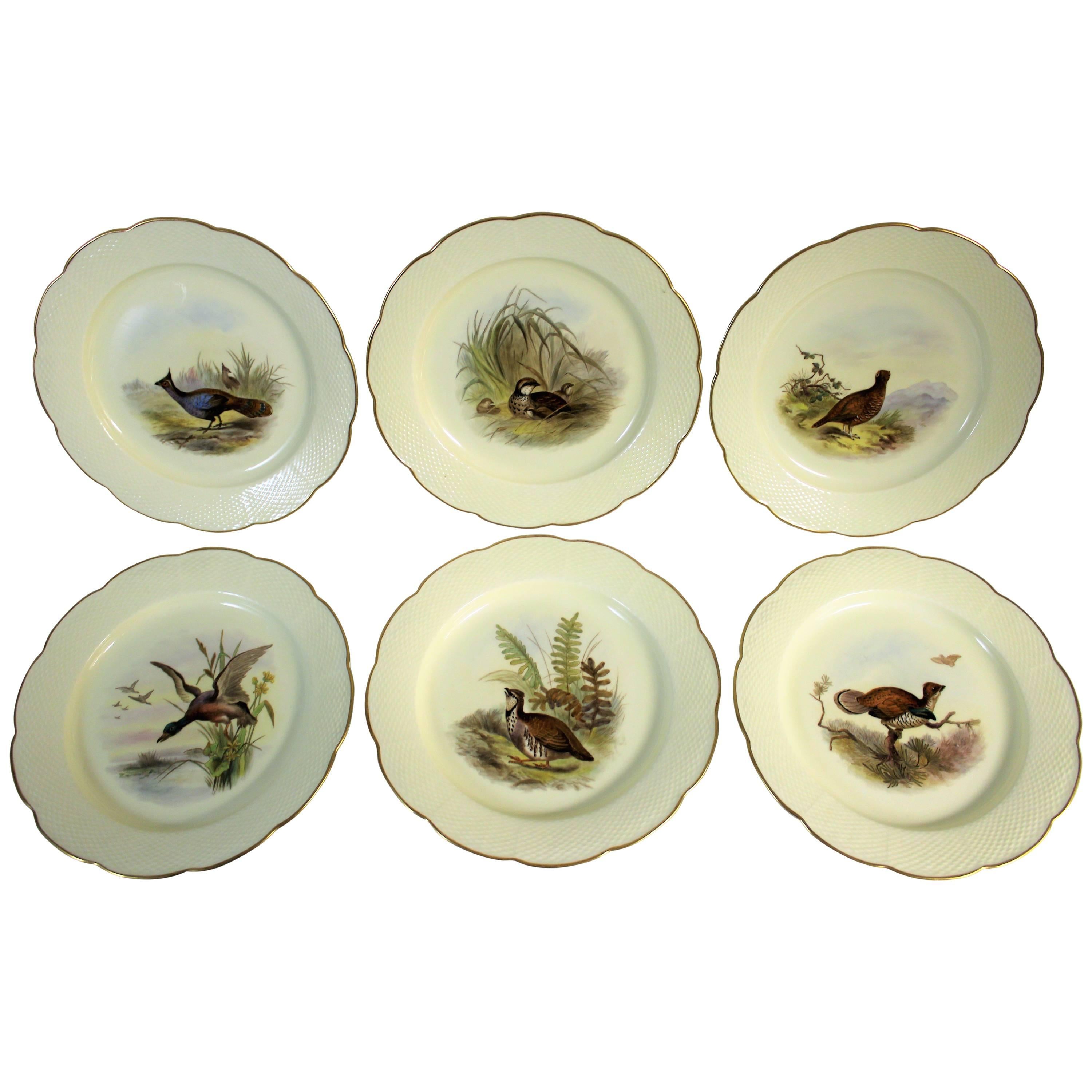 Set of Six Royal Worcester Porcelain Plates For Sale