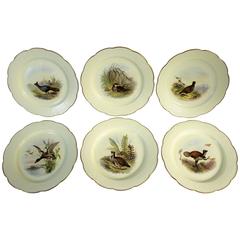 Set von sechs Royal Worcester-Porzellantellern