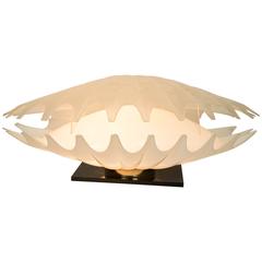 Giant Oyster Shell Lamp Designed by Rougier 9