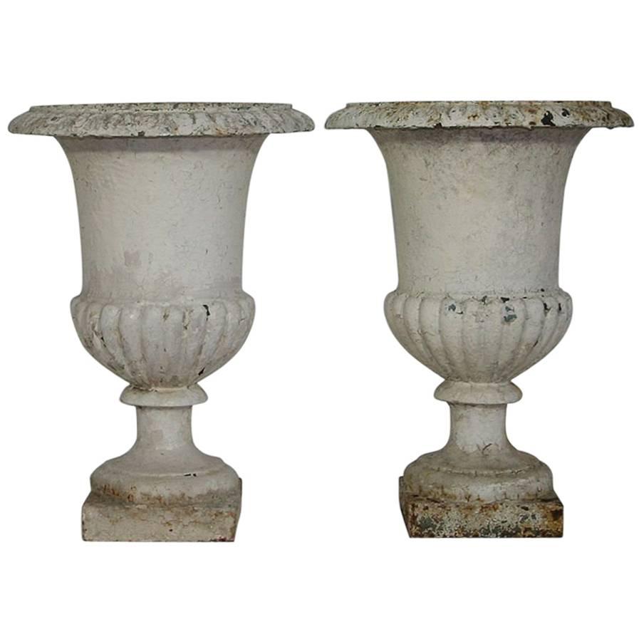 Pair of 19th Century French Cast Iron Medici Urns or Vases