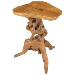 Organic Free-Form Cypress Root Side Table