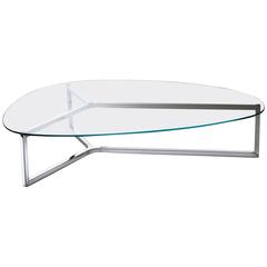 Raj 3 Coffee Table in Glass and Polished Stainless Steel by Gallotti & Radice 6